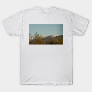 91416 high winds T-Shirt